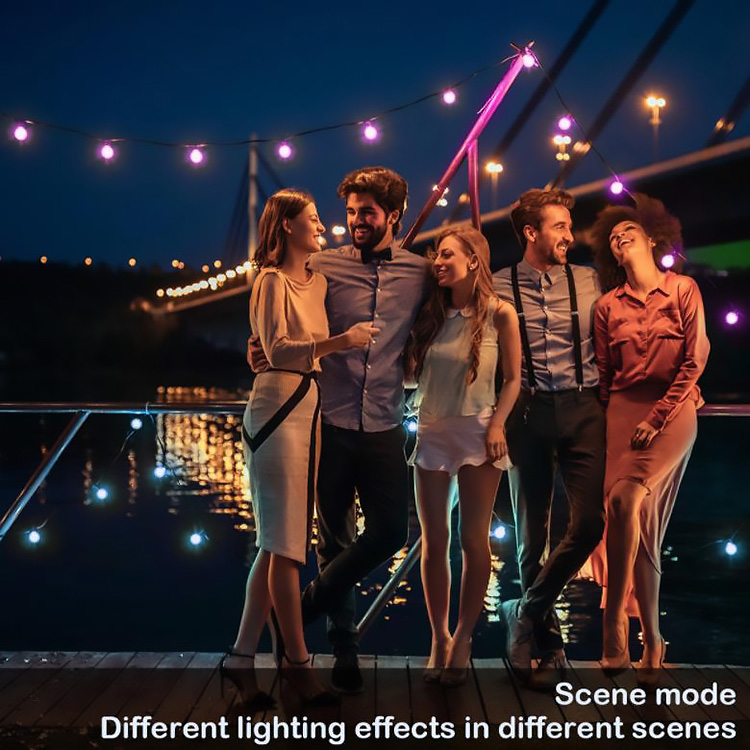 Multicolor симфонизм праздника RGB освещает раковину IP65 ПК для на открытом воздухе партии