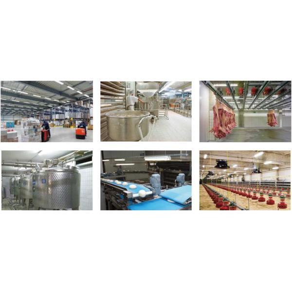 20W 40W 60W 2ft 4ft 5ft  LED Tri Proof Lights Ceiling / Hanging Mounted Vapor tight lights