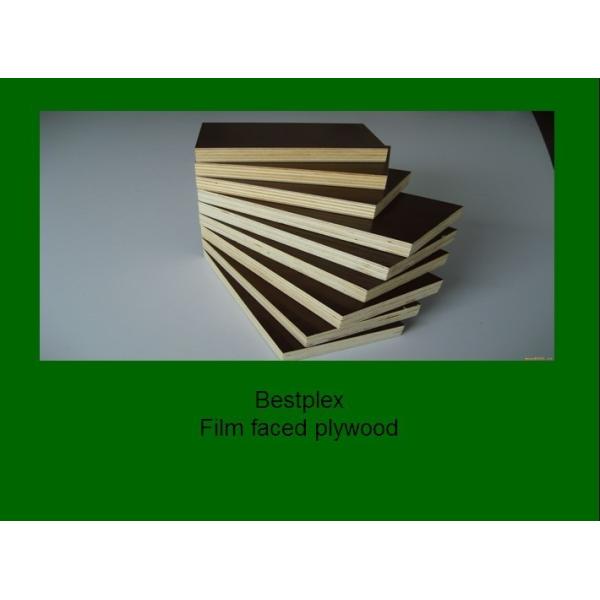 construction formwork plywood manufacture