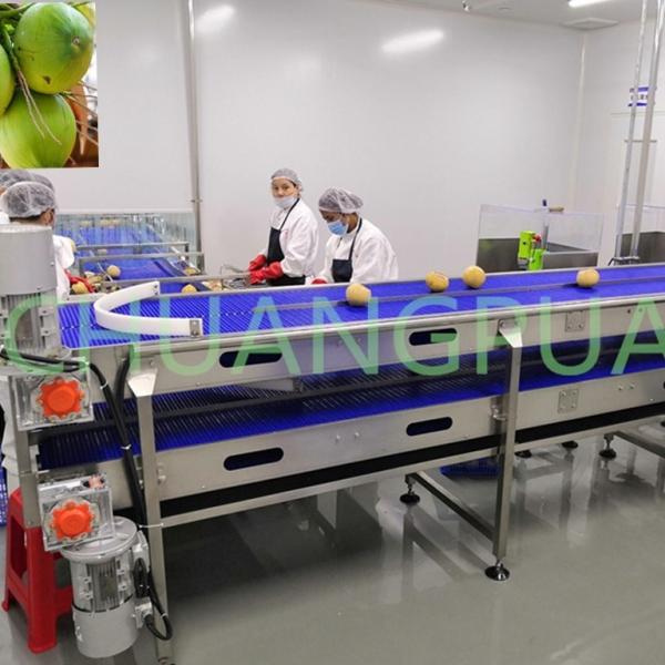 Custom Coconut Processing Machine 35-120kw 304 Stainless Steel