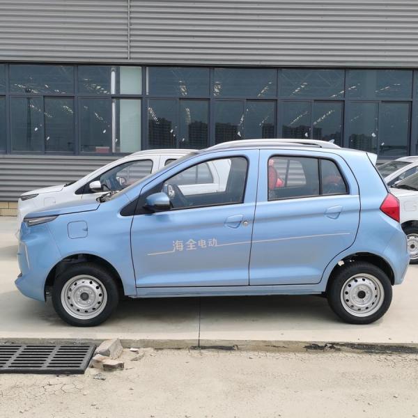China raysince factory hot sales model cars electric sedan 4 Seat 5 door new energy mini electric car for adults