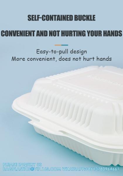 Factory Direct Sales Takeaway Food Packaging And Storage Containers Disposable Plastic Food Bento Lunch Boxes