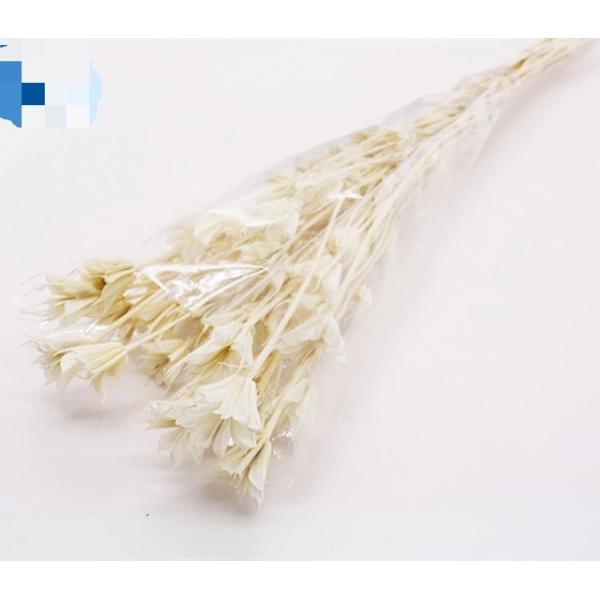 Artificial flowers and flower arrangements dry flowers gift