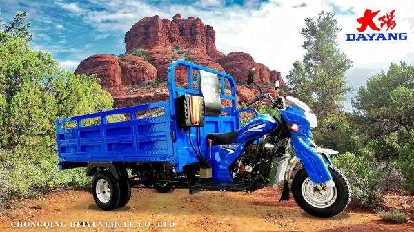10-20L Fuel Tank Capacity Cargo Motorcycle for Three Wheeler Cargo Tricycle