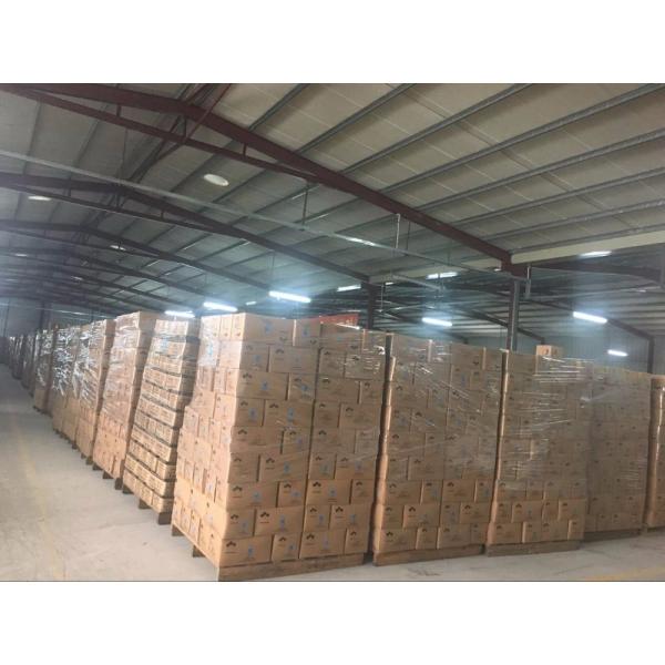 Les sacs à provisions découpés avec des matrices pour des dames s'habillent/vêtements font des emplettes appui de personnalisation