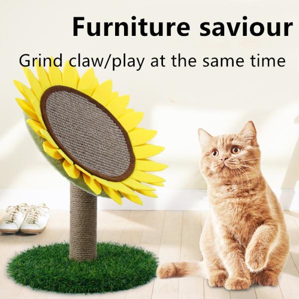 Любимец поставляет циркуляр таблицы царапины кота солнцецвета сизаля