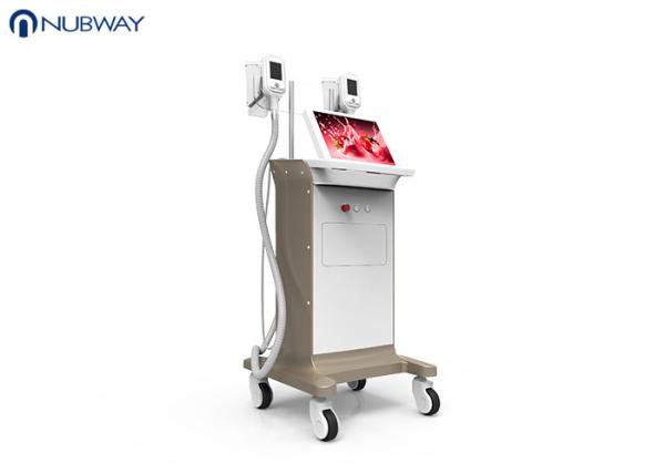 2 handles -15oC weight loss body slimming cryolipolysis slimming machine