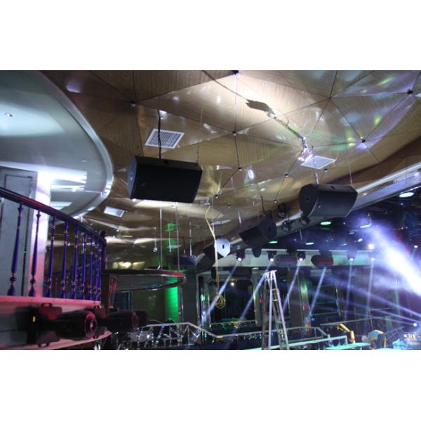 SPEAKON Church Audio Equipment 250W Stage Monitor , Plywood Cabinet