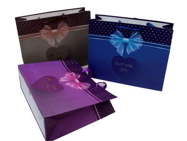 Shining Coats Paper Carrier Bag for Gift Packing  Ribbon Handle