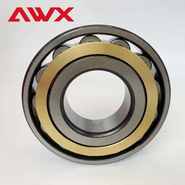 Performance Full Complement N309EM Cylindrical Needle Roller Bearing