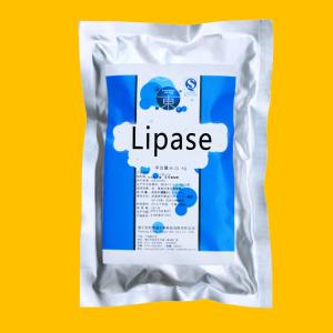 Food Baking Lipase Powder Customized Lipase Enzyme Powder Soluble In Water