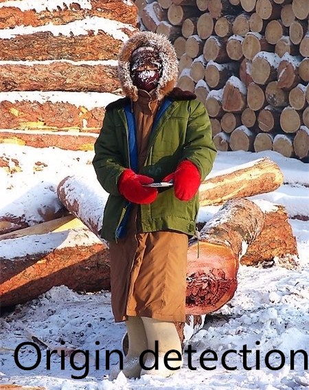 Royal Spanish Luxury Wooden Carving Dressing Table