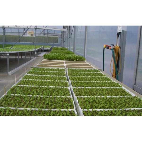 Agricultural 4*8ft ABS Plastic Hydroponic Flood Tray Growing Racks