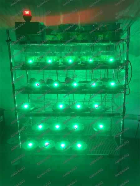AH-HP-I-TLOF ((L) LED Helipad Light 8,5W CREE Vert Omni-Directionnel