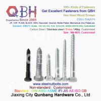IMMERSION chaude noire de QBH DIN571 M4-M20 galvanisant les vis en bois principales d'hexagone simple d'acier au carbone