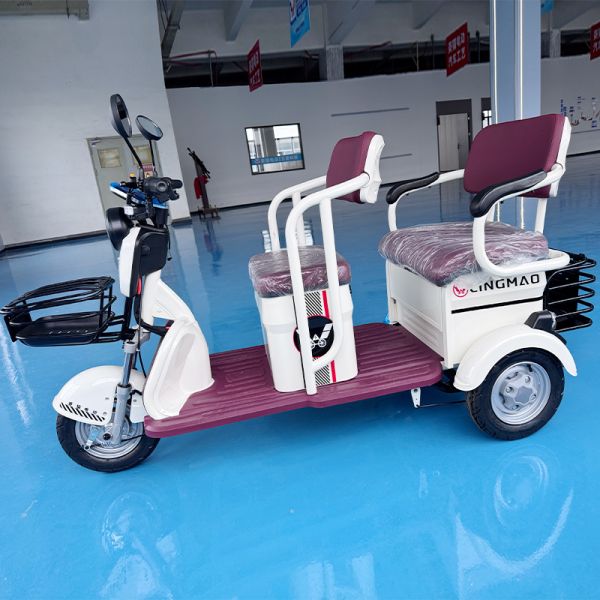 Electric Tricycle Scooter, 2-Seater Mobility Trike for Adults & Seniors