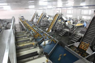 Food Tin Can Production Line Fully Semi Automatic 100-300 Cans Per Hour High Speed
