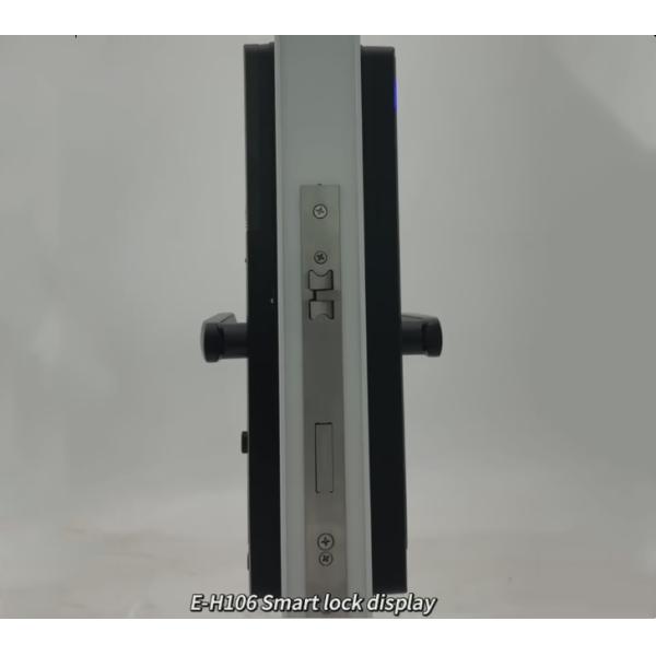 ELA High quality waterproof intelligent lock outdoor aluminum double-sided fingerprint door lock E-H106