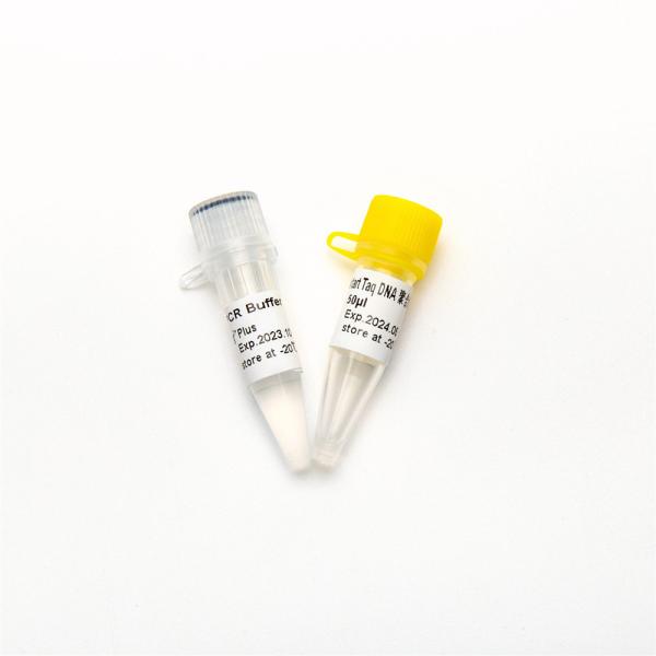 QPCR Hotstart Taq DNA Polymerase RT-PCR Enzyme P1101
