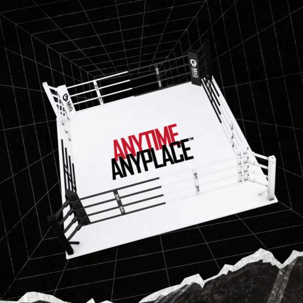 Custom Logo Floor Mount MMA Boxing Training Ring 5*5m 6*6m 7*7m