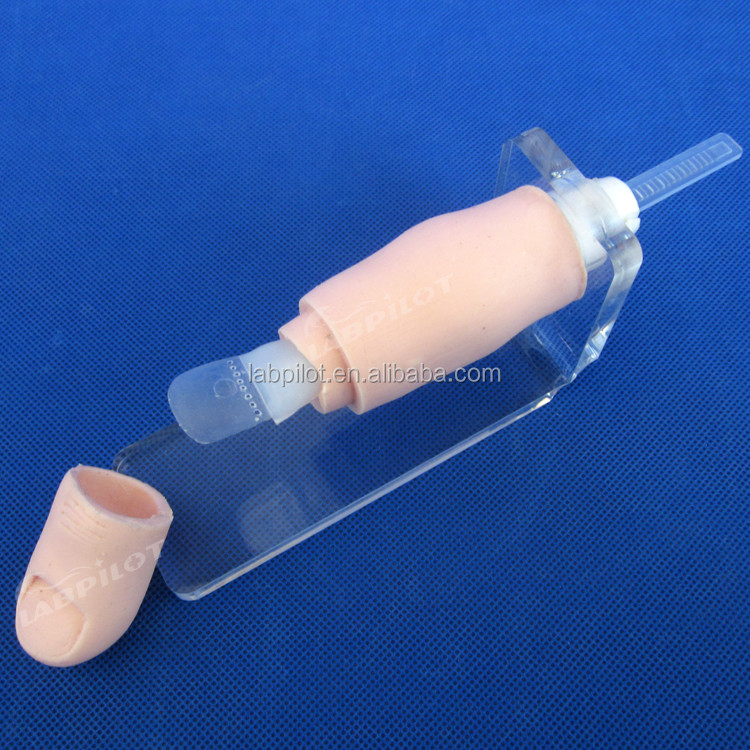 Ingrowing Toenail Trainer The Ultimate Model for Nails Extraction Training and Practice
