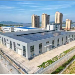Large Scale Multi Span Steel Buildings Assembly Plant Logistics Center