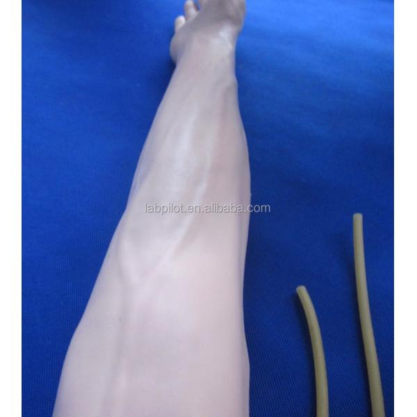 Medical Science Venipuncture and IM Injection Training Arm Model with Spared Skin