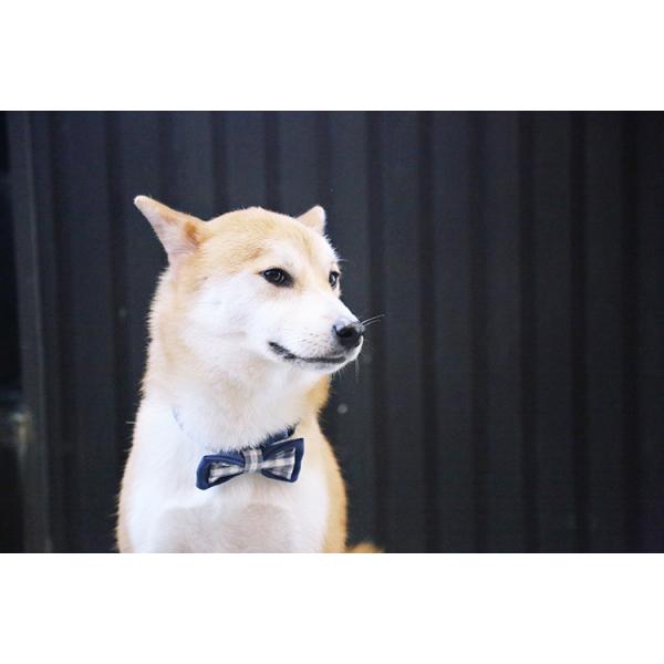 0.6 Inch Black And White Nylon Dog Collars And Bow Tie Dog Boy Girl