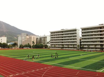Jardins/das esteiras artificiais da grama da falsificação relvado do futebol favorável ao meio ambiente antienvelhecimento