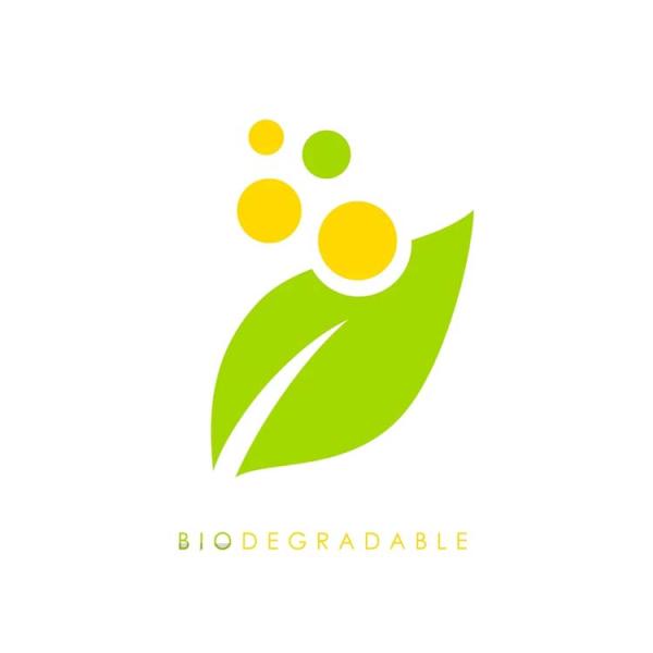 2022 New Arrival  biodegradable polyester fabric 300T taffeta fabric
