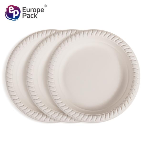 Wholesale picnic supplies cornstarch biodegradable plastic food compartment tray