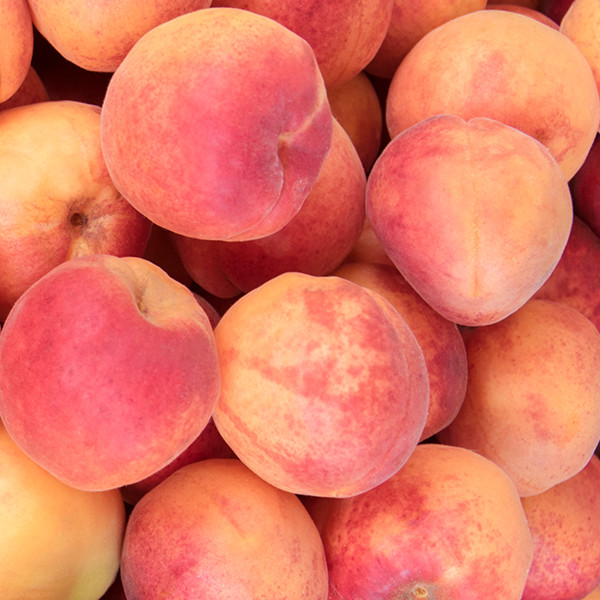 Сортировальная машина 380V 360 персиков сортируя машины плода степени вращательная просматривая