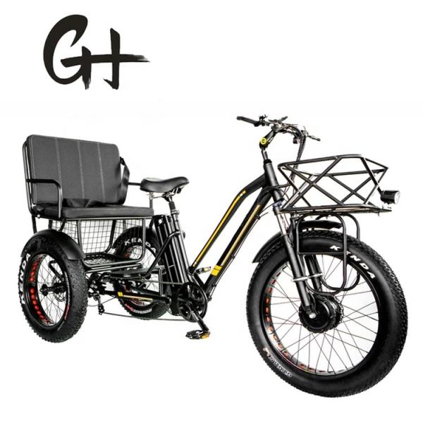 750W Central Motor Fat Tire Electric Rickshaw with Aluminum Carrier and Passenger Seat