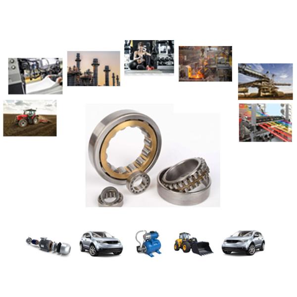 Подшипник колеса подшипников сплющенного ролика быстрого хода сплющенный миниатюрой