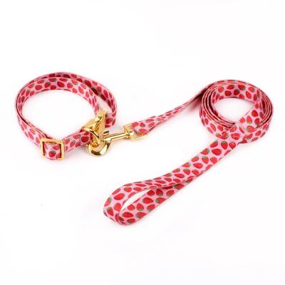 Hardware Print Fray Proof Adjustable Nylon Dog Collar/dog leash/dog harness