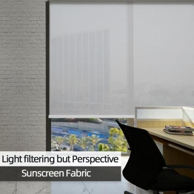 Decorative Roller Window Blinds Transparent Double Layers Fabric For Home