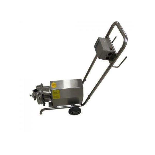 Energy Saving Sanitary Water Pump / Food Grade Self Priming Pump 0.75KW