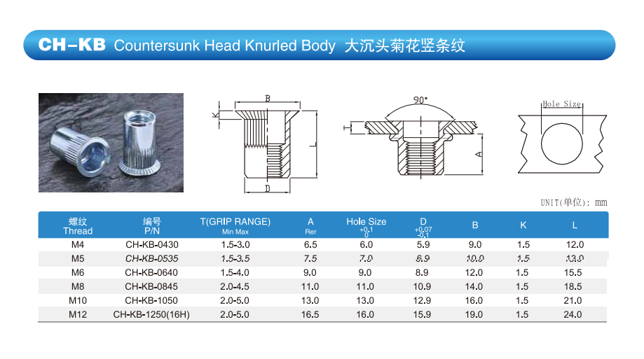 Precision Countersunk Head Knurled Rivet Nuts Zinc Plated Stainless Steel Material
