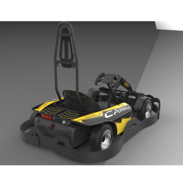 40km/h Electric Go Kart Terrain Clearance 43mm For Children / Adult
