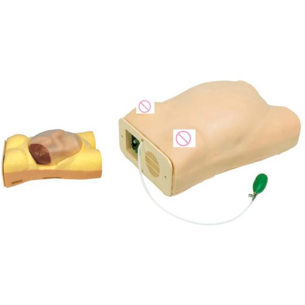Human Life Size Pregnancy Manikin Auscultation Teaching Simulator for Medical Science