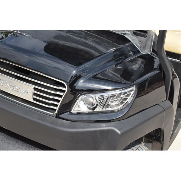 Convenient Electric Golf Buggy Italy Graziano Axle 12/1 Trojan Battery