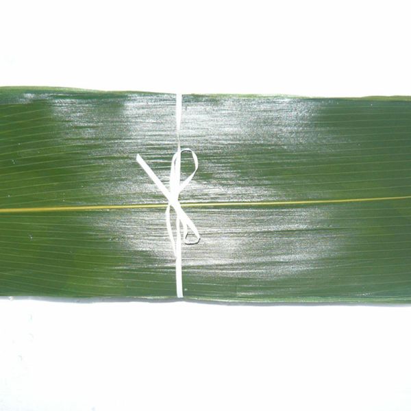 Organic Fresh Sushi Bamboo Leaves Food Plate Decoration Barbecue Serving Tool Bamboo Leaf