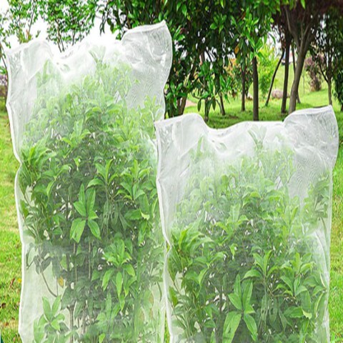 3m Width 20m Length 60 Mesh Garden Netting Anti Bird For Fruit Trees Orchard