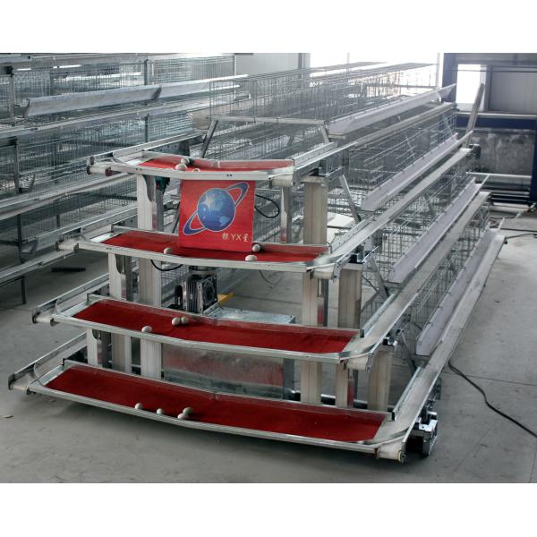 Stainless Layer Chicken Cage Poultry Farming Hen Cages Feeding System