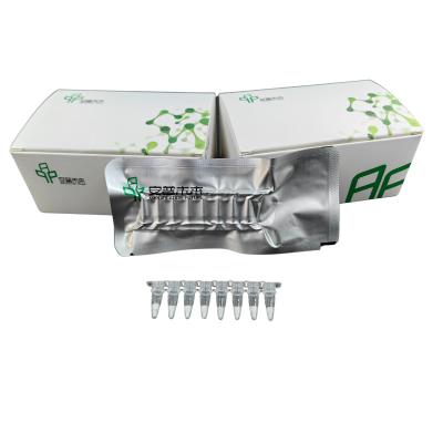 5-20 min Kit de amplificação de RNA estável Aumento da estabilidade