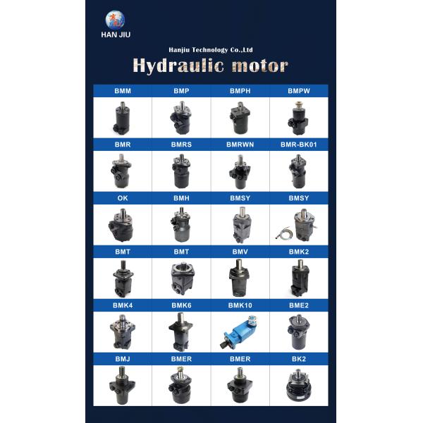 Гидравлический орбитальный двигатель OMS315 2 болт фланцевый конический вал с портами BSPP