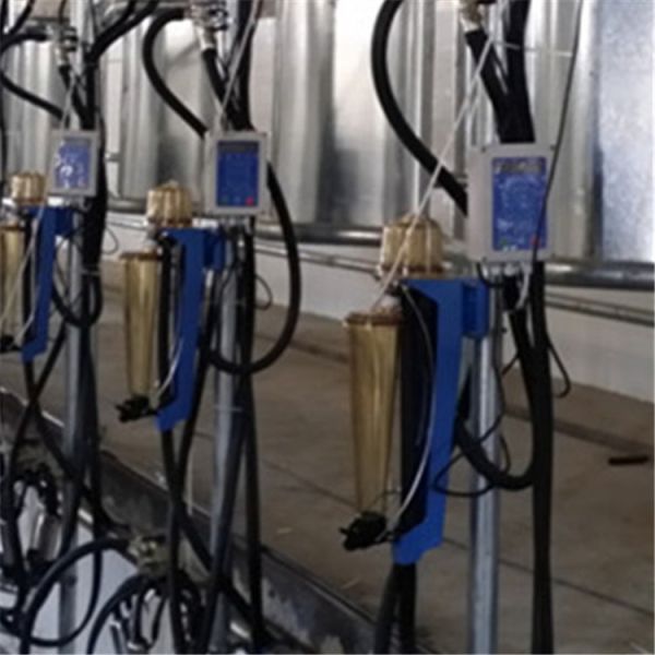 Milk Flow Meter Herring Bone Milking Parlor System CE ISO SGS FDA Certified Mobile Milking Machine