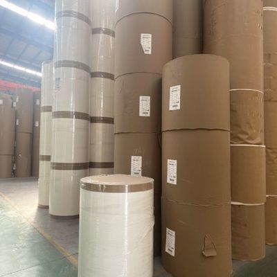 Customized PE Coated Paper Sheet with Food Grade Certification
