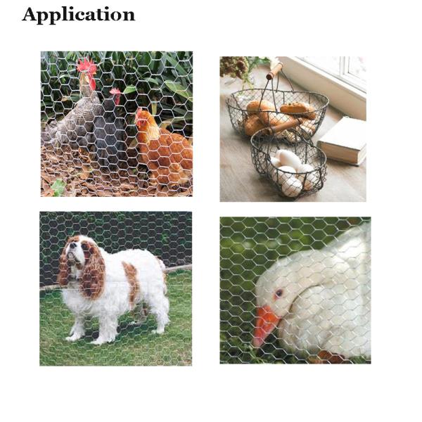 13,7 x 80 шестиугольного дюймов порошка зеленого цвета сетки Gabion покрыли гальванизированный