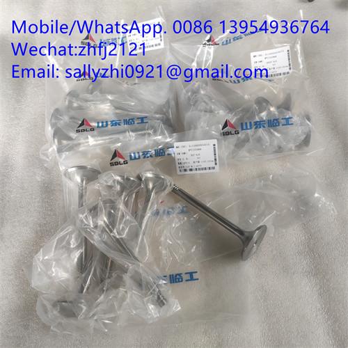 sdlg Exhaust valve 4110000054215  for Weichai Deutz TD226B WP6G125E22, weichai engine parts for sale